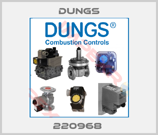 Dungs-220968 