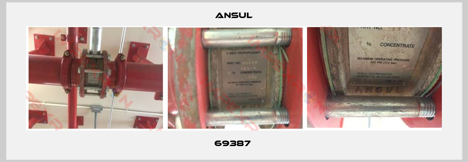 Ansul-69387 