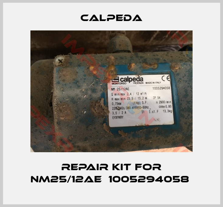 Calpeda-Repair kit for NM25/12AE  1005294058 