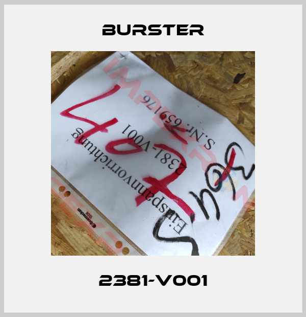 Burster-2381-V001