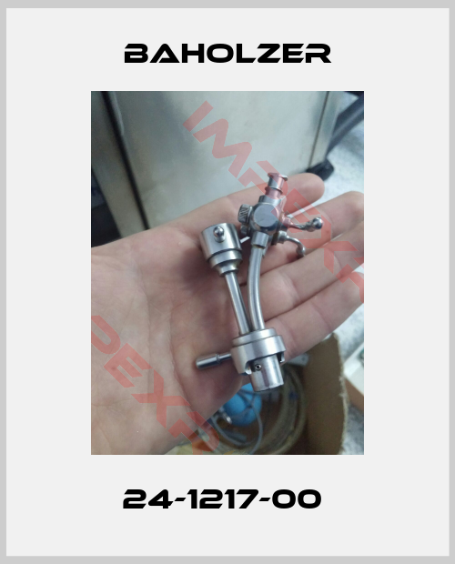 Baholzer-24-1217-00 
