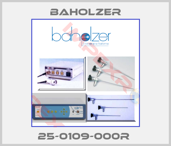 Baholzer-25-0109-000R 