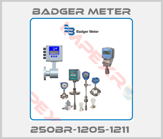 Badger Meter-250BR-1205-1211 
