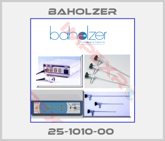 Baholzer-25-1010-00 