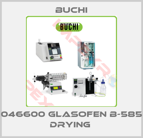 Buchi-046600 GLASOFEN B-585 DRYING 