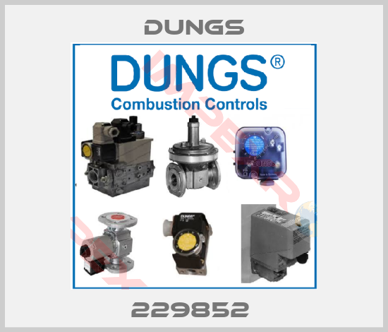Dungs-229852 
