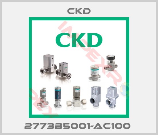 Ckd-2773B5001-AC100 