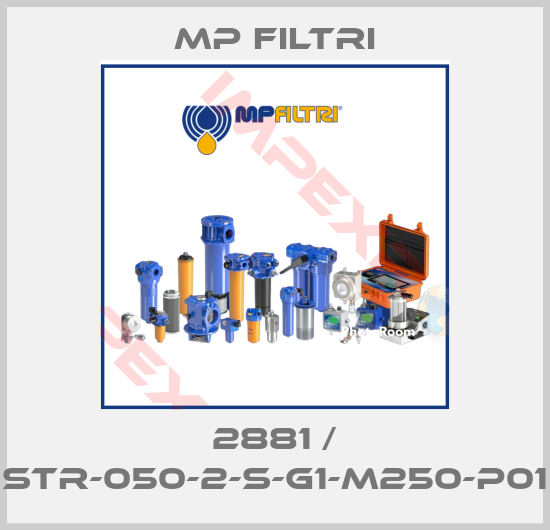 MP Filtri-2881 / STR-050-2-S-G1-M250-P01
